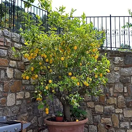Incanto Di Luna Bed and Breakfast 4*